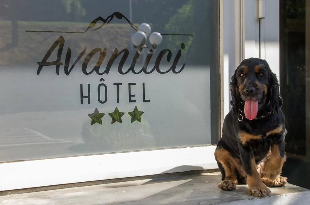 Cit'Hotel Avantici Gap